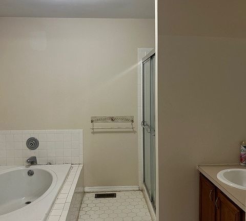 Master bathroom with jacuzzi and standing shower