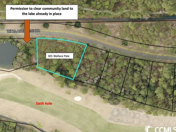 Lot 301 Wallace Pate Dr., Georgetown, SC 29440