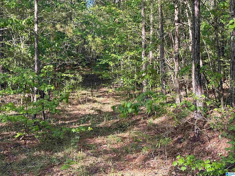 1st image of 0 Piney Woods Rd #3