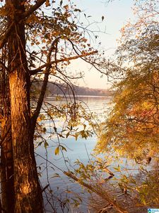 0 Cosper Bend Rd #7, Childersburg, AL, 35044