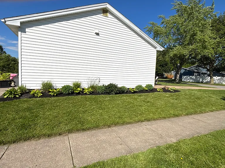 66 Clearfield Dr — Photo 3