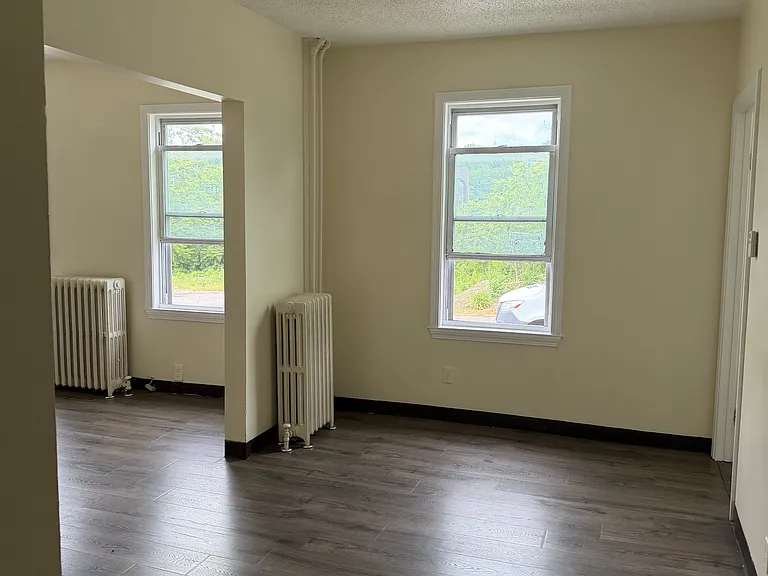 347 Bridge St #1 — Photo 5