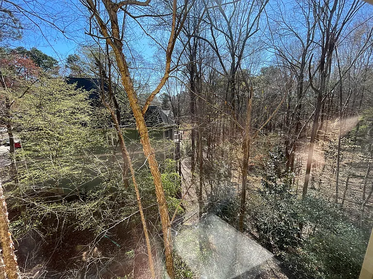 101 Songbird Ln — Photo 48