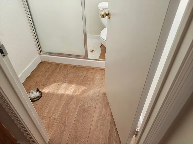 Master Bath w/walkin shower and new toilet being installed now