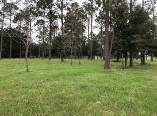 Bonsmara Dr, Groveland, FL 34736