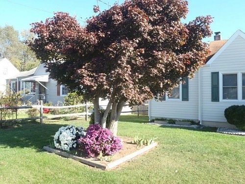 2nd image of 2427 Cornell Dr NW