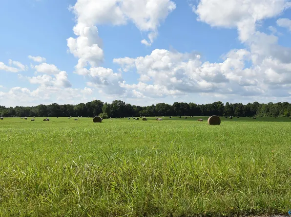 63.52 Old Quick Rd, Fayetteville, TN 37334