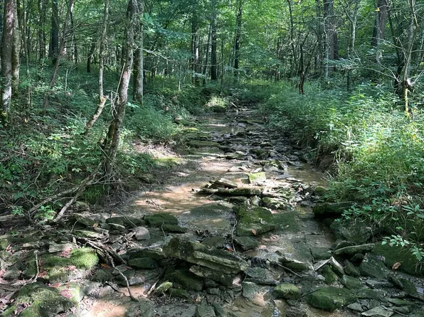 781 Apple Ln, Cynthiana, KY 41031