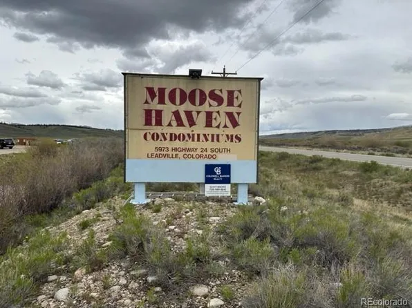 5973 US HIGHWAY 24 #8, Leadville, CO 80461