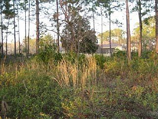 2nd image of 2151 Isles Of St Marys Way