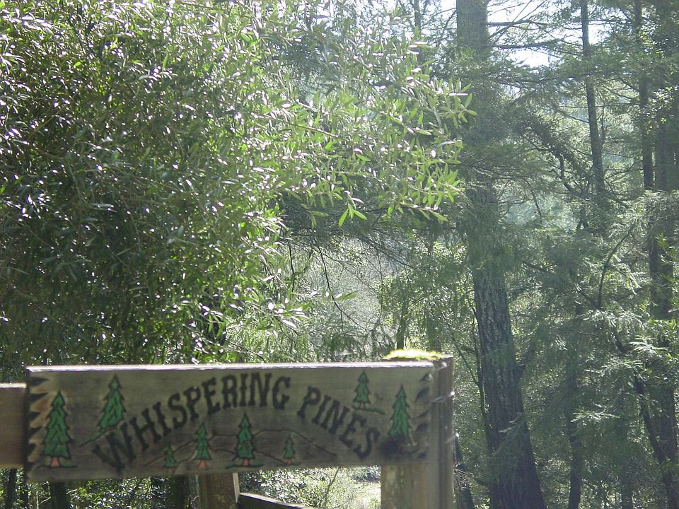 Whispering Pines