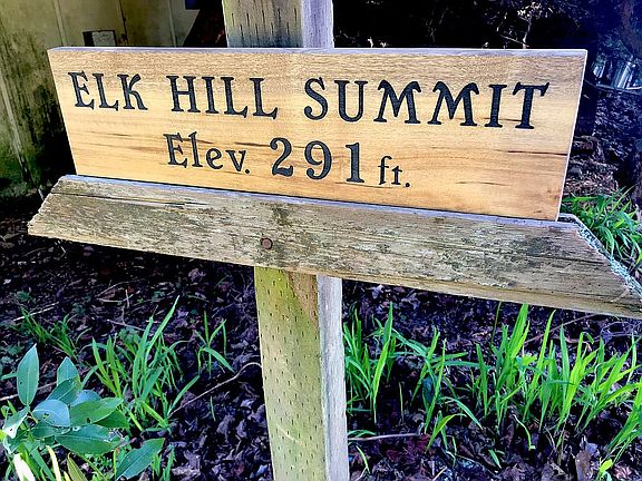 Estate on Elk Hill Summit