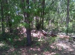 542 W Hillsborough Ave, Florahome, FL 32140