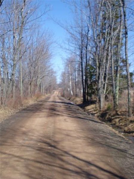 3rd image of 0 BLUEBIRD Road