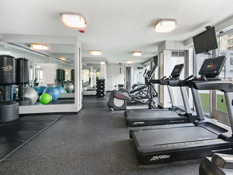 745 N Rush St #3203 — Photo 11