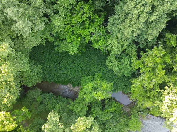 Copen Rd, Copen, WV 26615