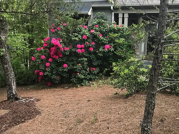 2nd image of 235 McElroy Mountain Dr