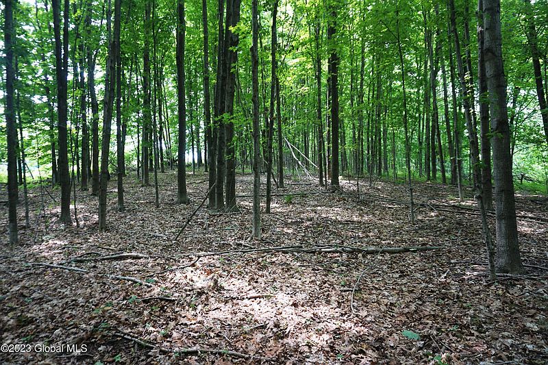 5th image of L36 Cronkhite Road