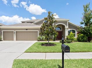 20006 Bears Track Ln, Tampa, FL 33647