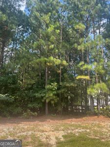 3545 Brookview Dr, Loganville, GA, 30052
