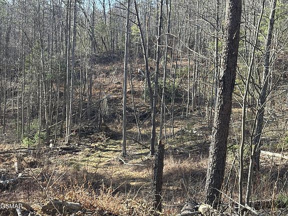 5th image of 1 Bull Mountain Rd Lot Del