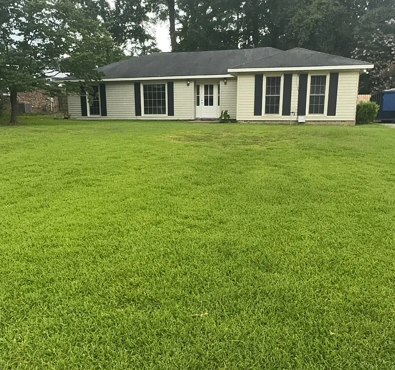 4530 Jiminey Loop