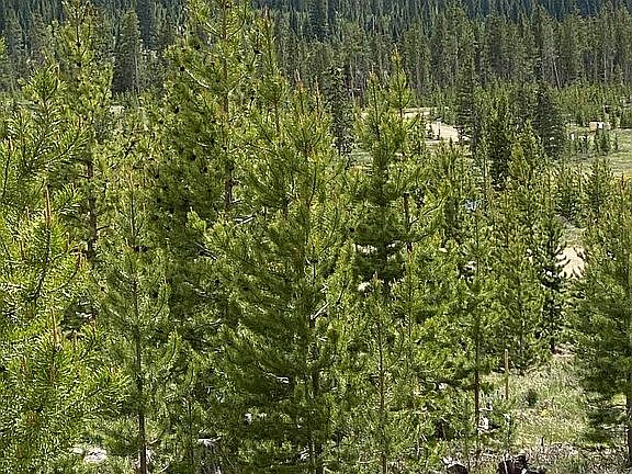 Byers Peak
