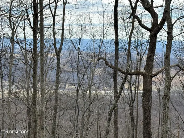 Mountain Springs Rd, Rose Hill, VA 24281