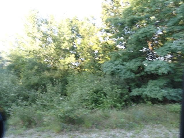 2nd image of 12285 Ivy Ln