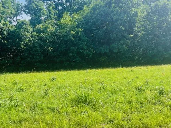 3626 Pump Station Rd, Rosebud, MO 63091