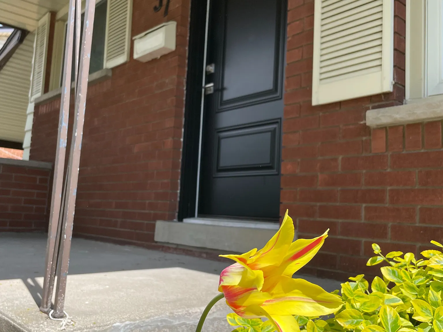 3 bed, $2,500 — Photo 2