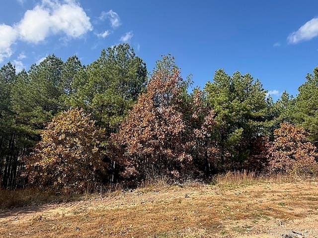 2nd image of 54 Summer Sky Dr