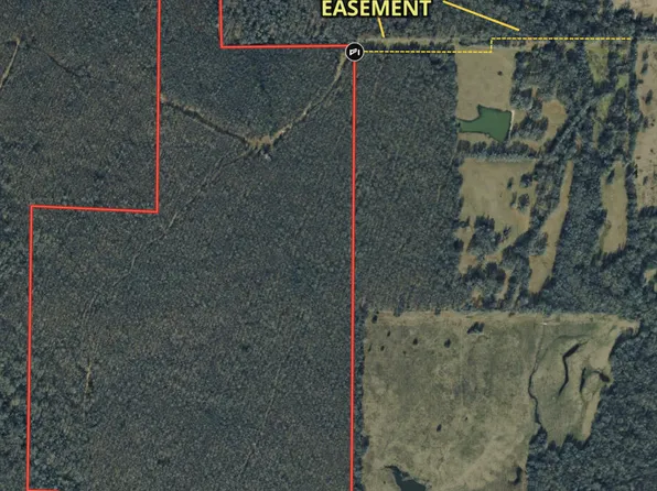 171/AC County Road 4670, Avery, TX 75554