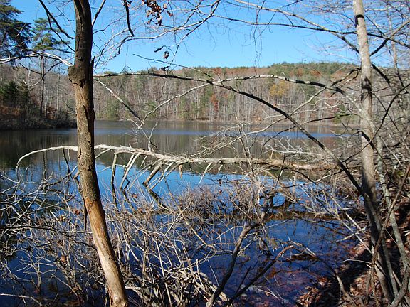 3rd image of 199 Sleepy Hollow Rd