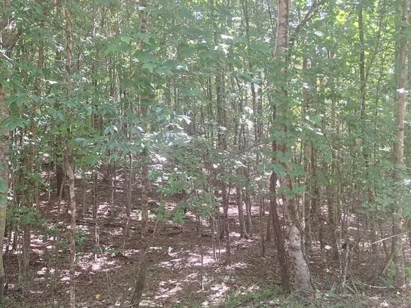 0 Judah Rd, Morganton, GA 30560