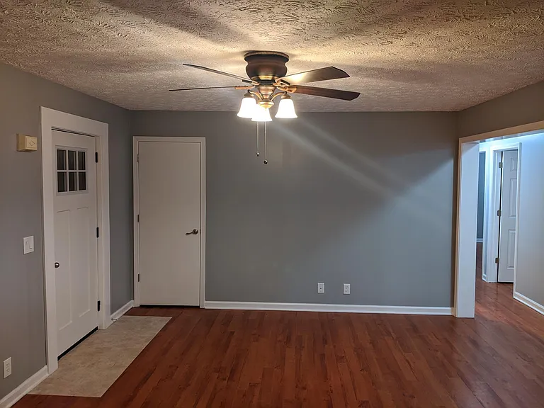 Living room, front entrance, coat closet and hall