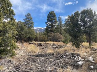 16 Big Bear Rd #1, Mosca, CO 81146