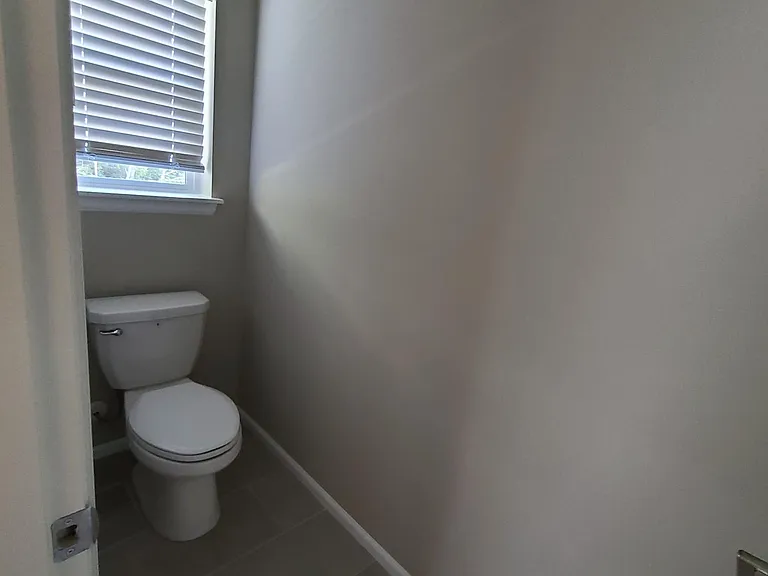 Master bathroom toilet