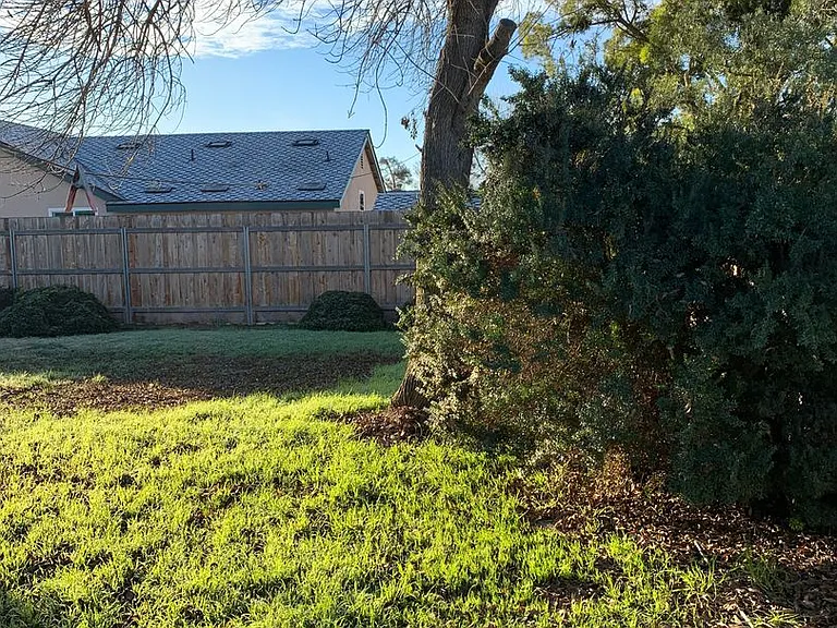 3208 Holly Ct — Photo 24