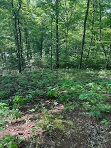 LOT 110 Rivermist Pl, Franklin, NC, 28734