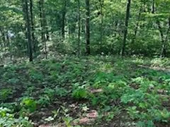 LOT 110 Rivermist Pl, Franklin, NC 28734