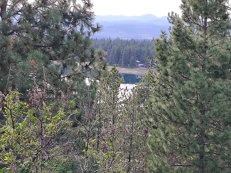 258 Garrison Dr — Photo 9