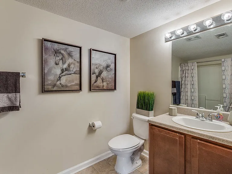 Forest Trail Apartment Homes — Photo 37