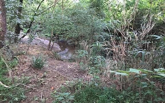 5th image of 1332 Creekwood Dr