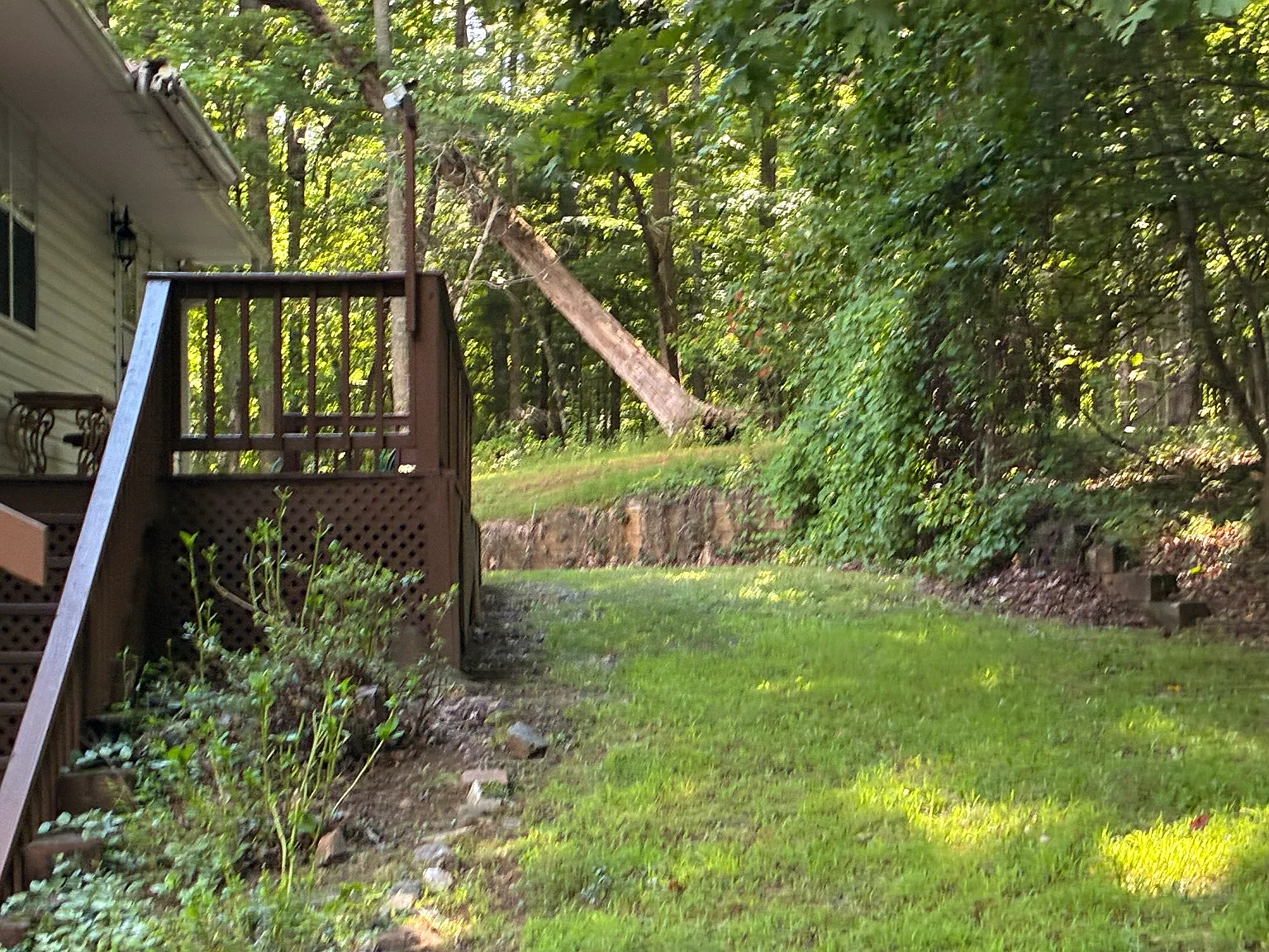 Springwood Trl, Young Harris — Photo 4