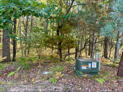 6742 Abbey Ln, Stanwood, MI, 49346