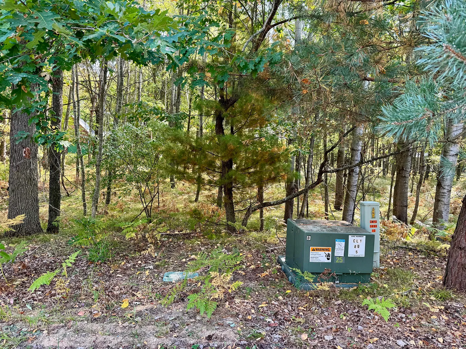 6742 Abbey Ln photo 1