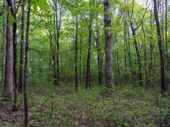 6865 Old Tuscaloosa Hwy, Mc Calla, AL 35111