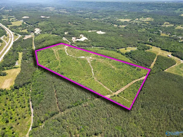 Bethel Rd, Valley Head, AL 35989