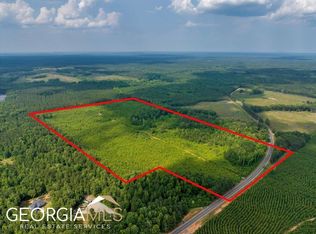 3442 N Highway 83, Forsyth, GA 31029